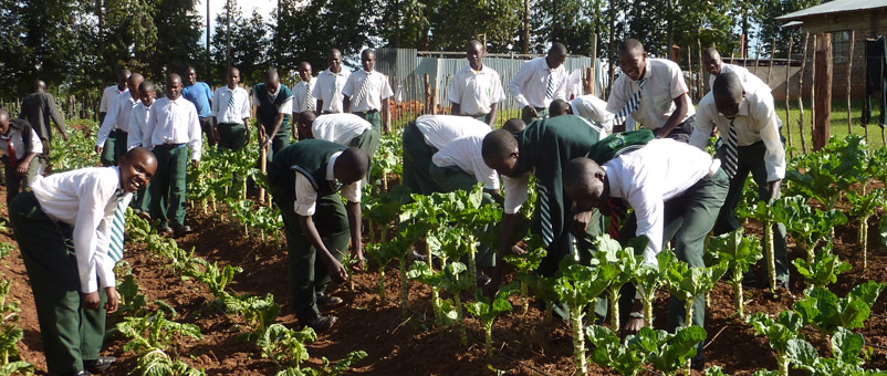 Engaging Youth in Agriculture - The Key to a Food Secure Future ...