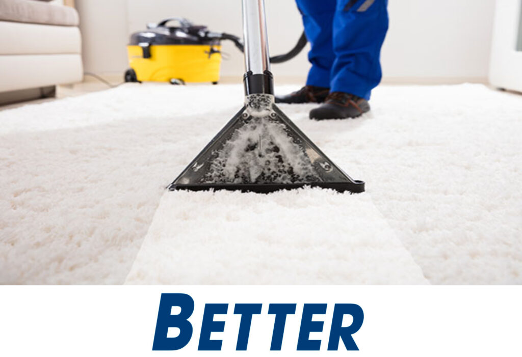 Carpet And Upholstery Cleaners Company at Janet Tack blog